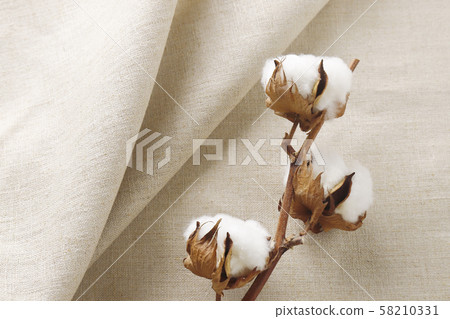 Cotton linen 58210331