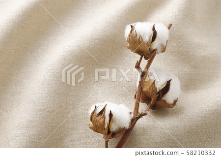 Cotton linen Cotton linen 58210332