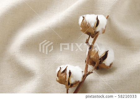 Cotton linen Cotton linen 58210333