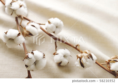 Cotton linen 58210352
