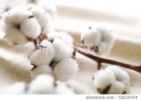 Cotton linen 58210354