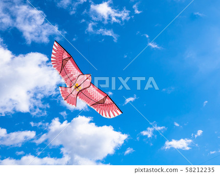Bird chase kite 58212235