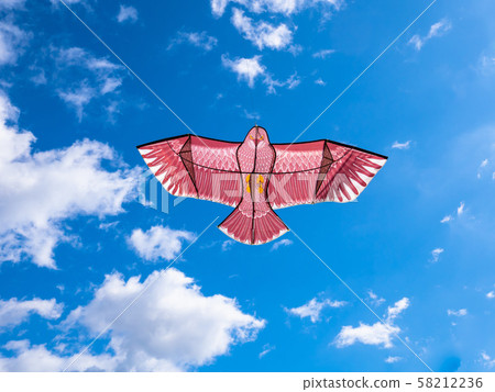 追鳥風箏 追鳥風箏 58212236
