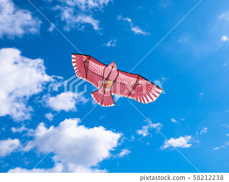 追鳥風箏 追鳥風箏 58212238