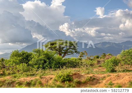Mago National Park, Omo Valley, Etiopia 58212779