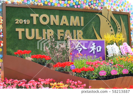 2019年Tonami鬱金香展 58213887