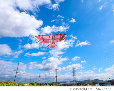 追鳥風箏 58214682