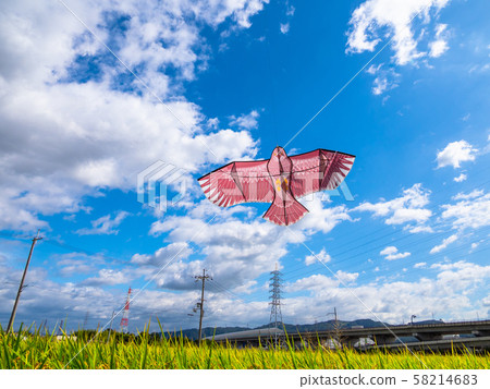 鳥追風箏和稻田 58214683