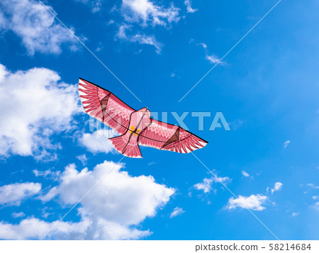 追鳥風箏 58214684