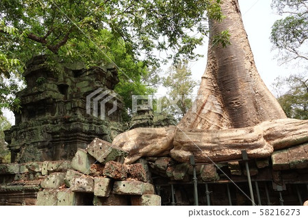 Ta Prohm's Spoane 58216273