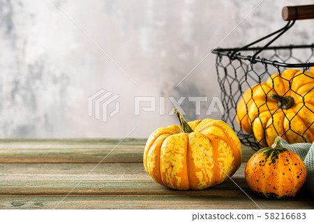 Autumn pumpkin thanksgiving background Autumn pumpkin thanksgiving background 58216683