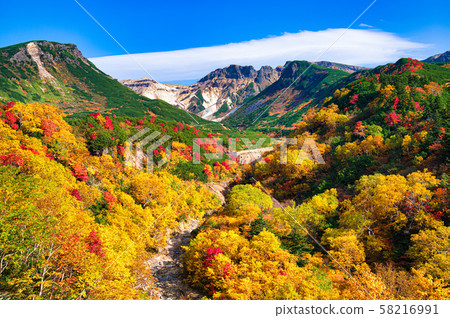 十勝岳溫泉的紅葉 十勝岳溫泉的紅葉 58216991