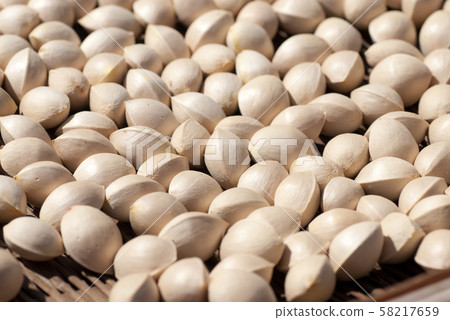 銀杏在陽光下 58217659