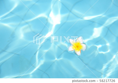 Summer image Tropical flowers floating in the pool 58217726
