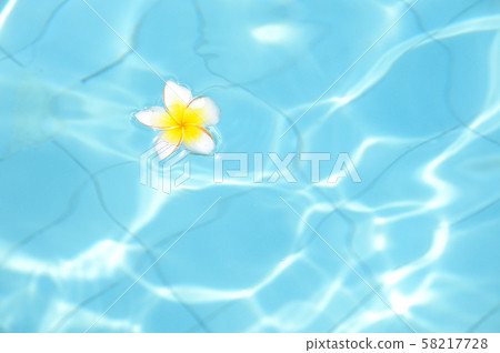 Summer image Tropical flowers floating in the pool 58217728