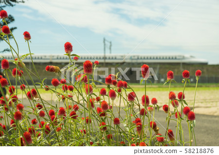 Strawberry candle and bullet train 58218876