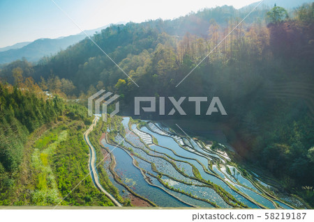 Terraced rice fields on the hill with bright blue 58219187