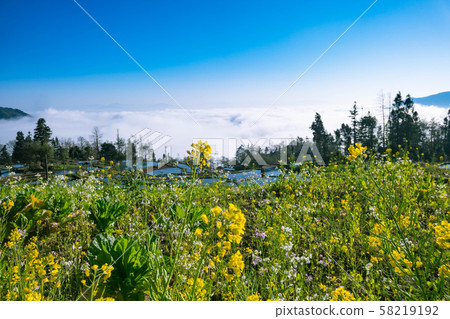Terraced rice fields of YuanYang , China with sea Terraced rice fields of YuanYang , China with sea 58219192