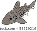 點鯊魚 58219216