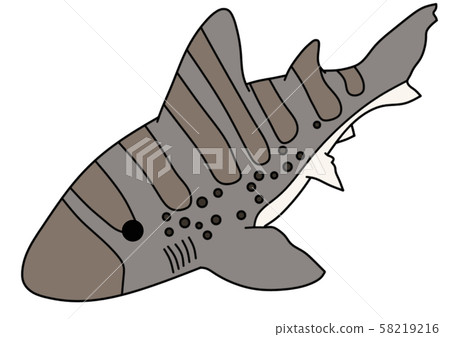點鯊魚 點鯊魚 58219216