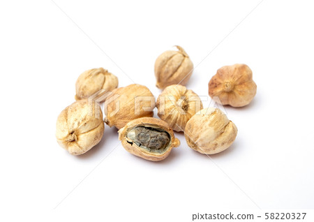 Siam Cardamom, Amomum krervanh Pierre. Siam Cardamom, Amomum krervanh Pierre. 58220327