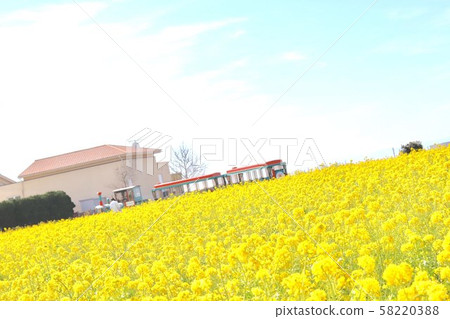強姦開花 強姦開花 58220388