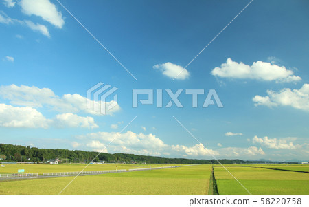 栃木縣高原市田園 58220758