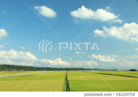 栃木縣高原市田園 栃木縣高原市田園 58220759