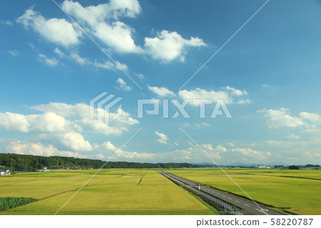Rural Scene Takanezawa Town, Tochigi Prefecture 58220787