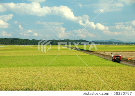 Rural Scene Takanezawa Town, Tochigi Prefecture Rural Scene Takanezawa Town, Tochigi Prefecture 58220797