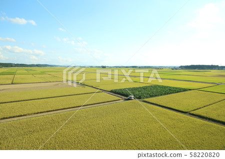 栃木縣高原市田園 58220820