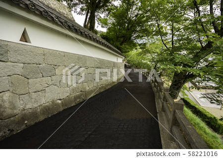 Fukuchiyama Castle (Fukuchiyama City, Kyoto) 58221016
