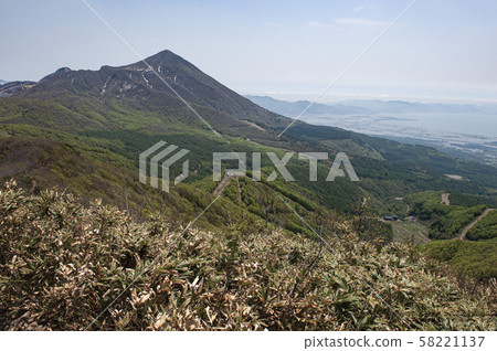 春貓Matake 58221137