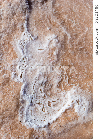 Natural white salt crystal texture on the sand, macro, close up. Salty lake shore background 58221480