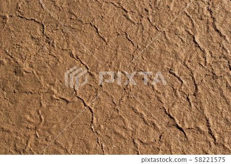 Natural white salt crystal texture on the sand, macro, close up. Salty lake shore background 58221575
