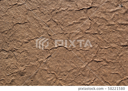 Natural white salt crystal texture on the sand, macro, close up. Salty lake shore background 58221580