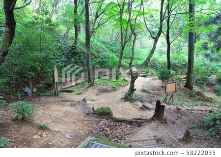 Mt.Maya, a branch road at the "Sanyu no Ii" point on the Rokko mountain trail near Kuseidai Mt.Maya, a branch road at the "Sanyu no Ii" point on the Rokko mountain trail near Kuseidai 58222035