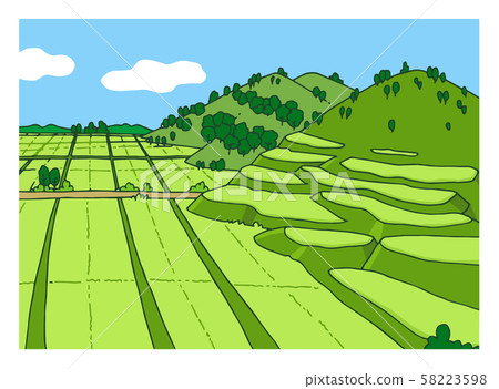 水稻梯田 水稻梯田 58223598