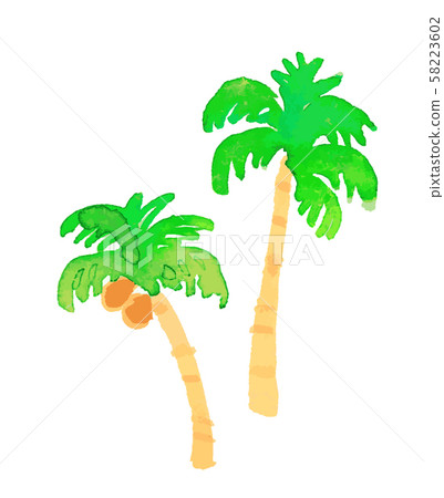 Palm tree Palm tree 58223602