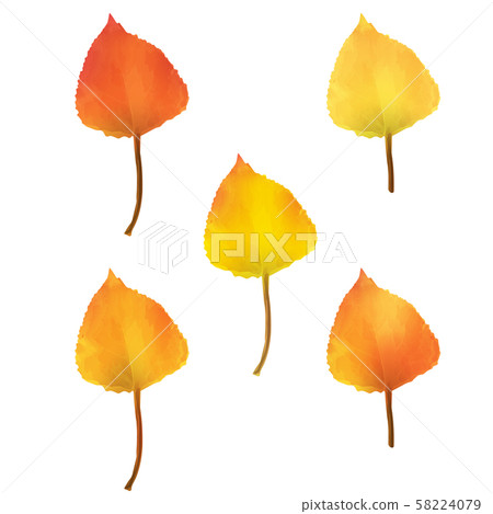 Realistic Birch Tree Leaves in Changing Fall Colors. Realistic Birch Tree Leaves in Changing Fall Colors. 58224079