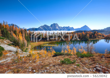 Wonderfull autumn view of Lake Federa in Wonderfull autumn view of Lake Federa in 58228042