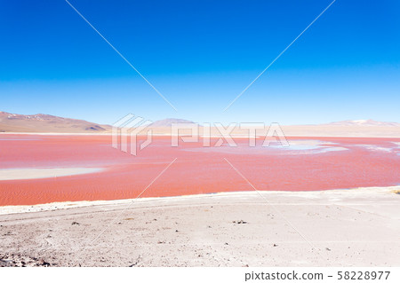 Laguna Colorada view, Bolivia 58228977