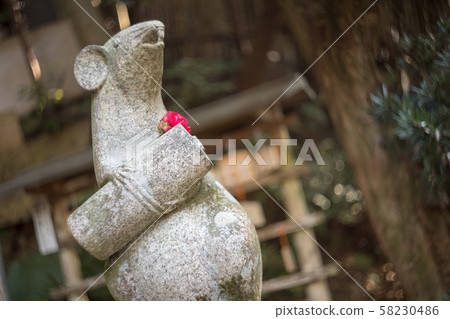戴山茶花的大國神社大寶神社 58230486