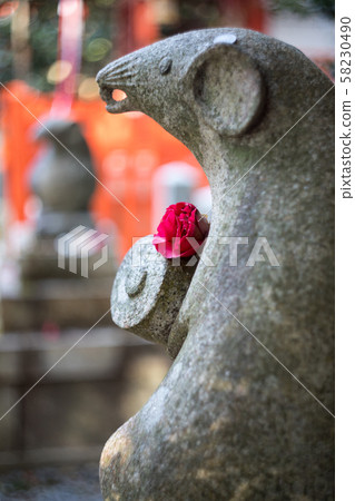 Taiho Shrine, Taikoku Shrine wearing a camellia flower Taiho Shrine, Taikoku Shrine wearing a camellia flower 58230490