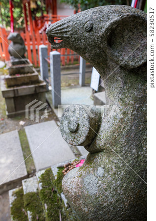 Otoyo Shrine, Daikoku Shrine, offering of camellia flowers and nuts 58230517
