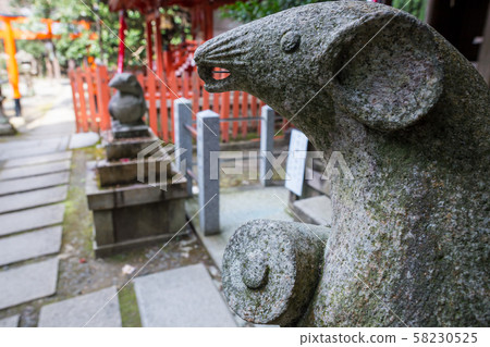 大豐神社，大豐神社，山茶花和堅果的奉獻 58230525
