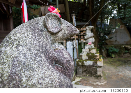 Otoyo Shrine, Daikoku Shrine, offering of camellia flowers and nuts 58230530