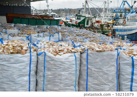 Bags with empty scallop shell for processing and boats for catching scallops 58231079