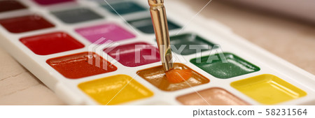 Brush point in watercolor paint closeup Brush point in watercolor paint closeup 58231564