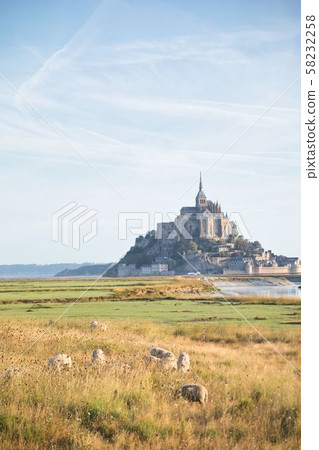 世界遺產聖米歇爾山和綿羊 58232258